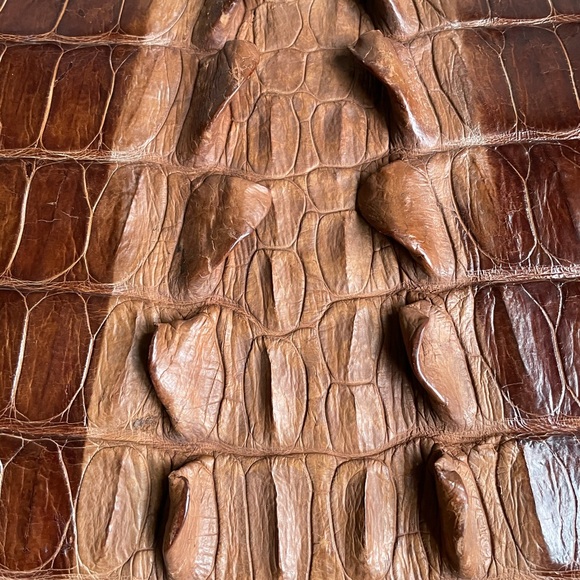 Alligator, crocodile purse,evening bag formal wear - Picture 4 of 9